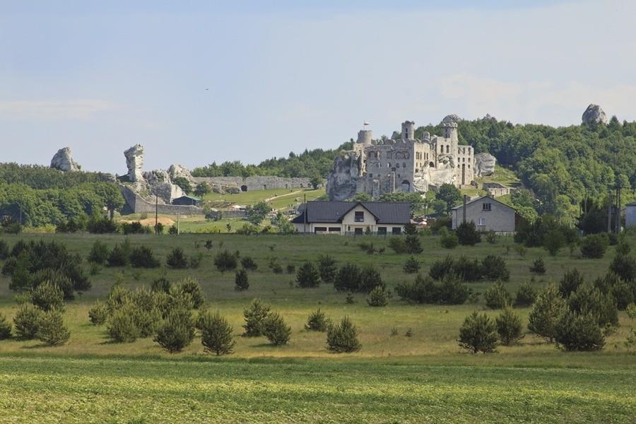 Ogrodzieniec...