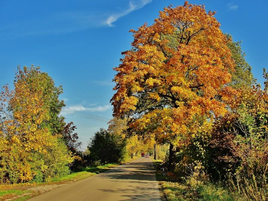 W drodze nad morze.