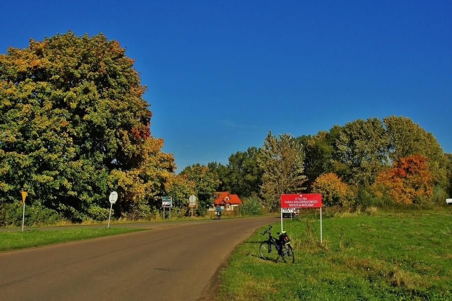 W drodze nad morze.