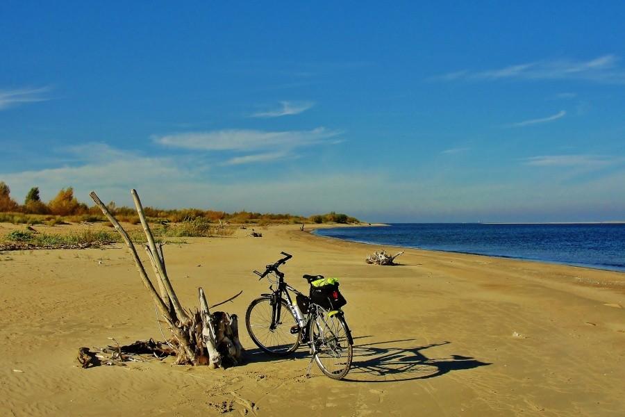 Plaża w Mikoszewie.