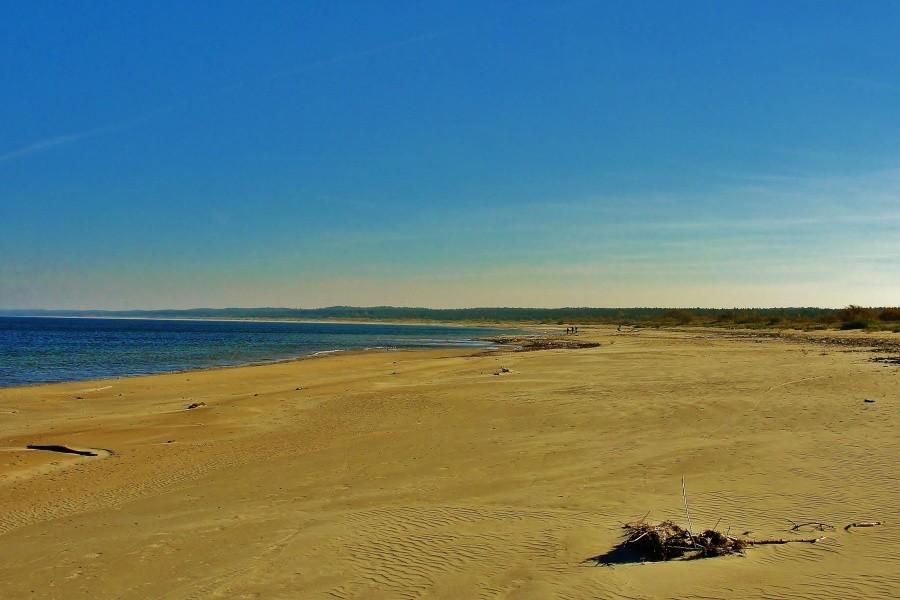 Plaża w Mikoszewie.