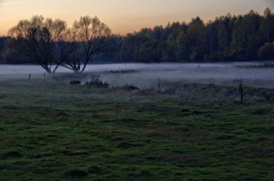 wieczorne mgiełki w Panewnikach