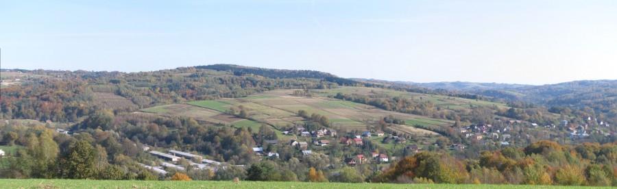 Niebylec, w tle daleko widać przekaźnik na Wilczem