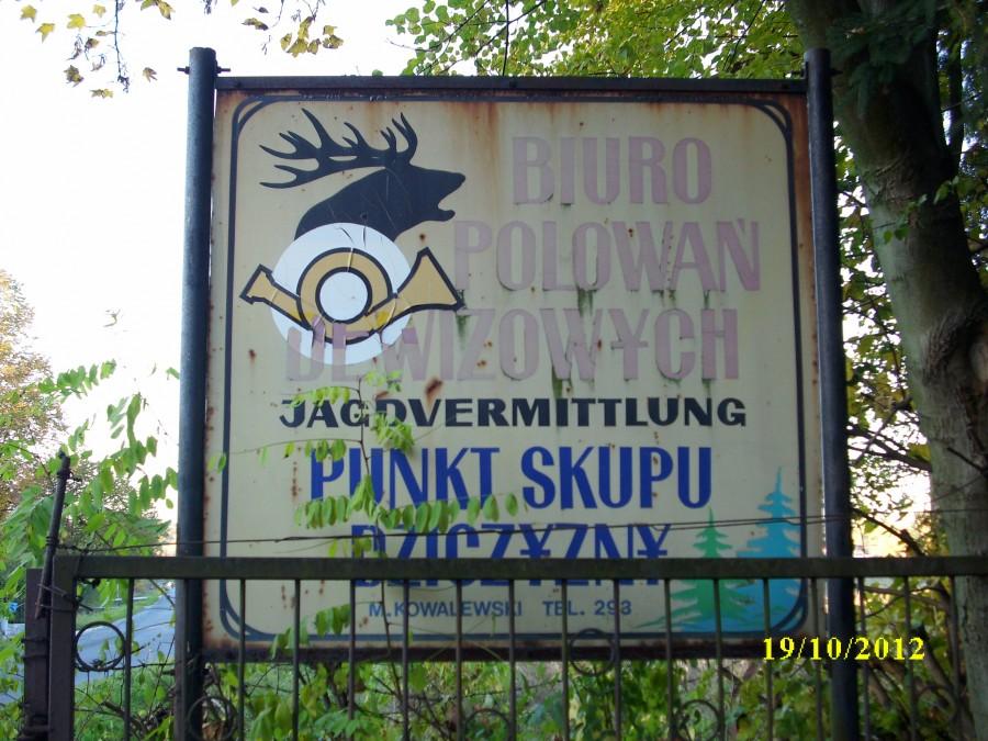 biuro polowań