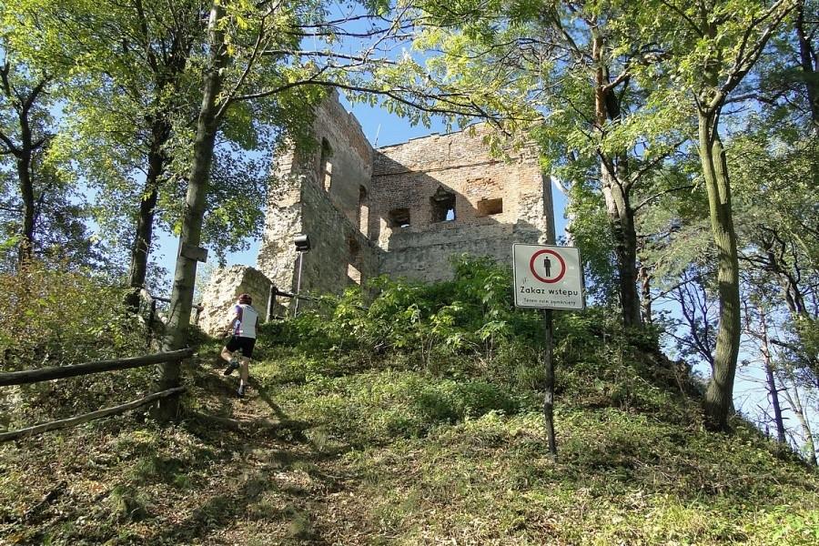 Zamek w Melsztynie