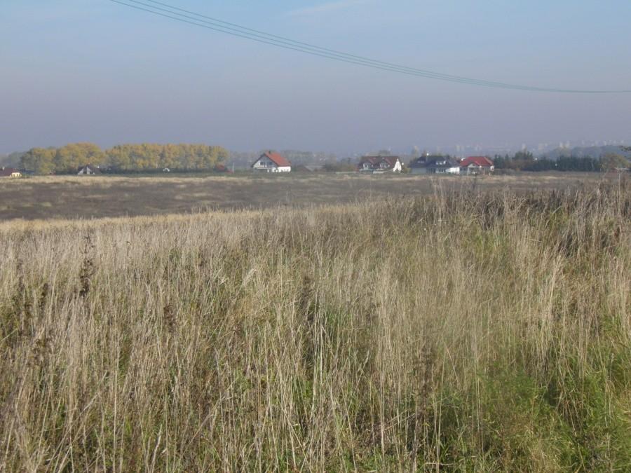 Widok z drogi Karwowo - Smolęcin, w dole Warzymice a dalej Szczecin.