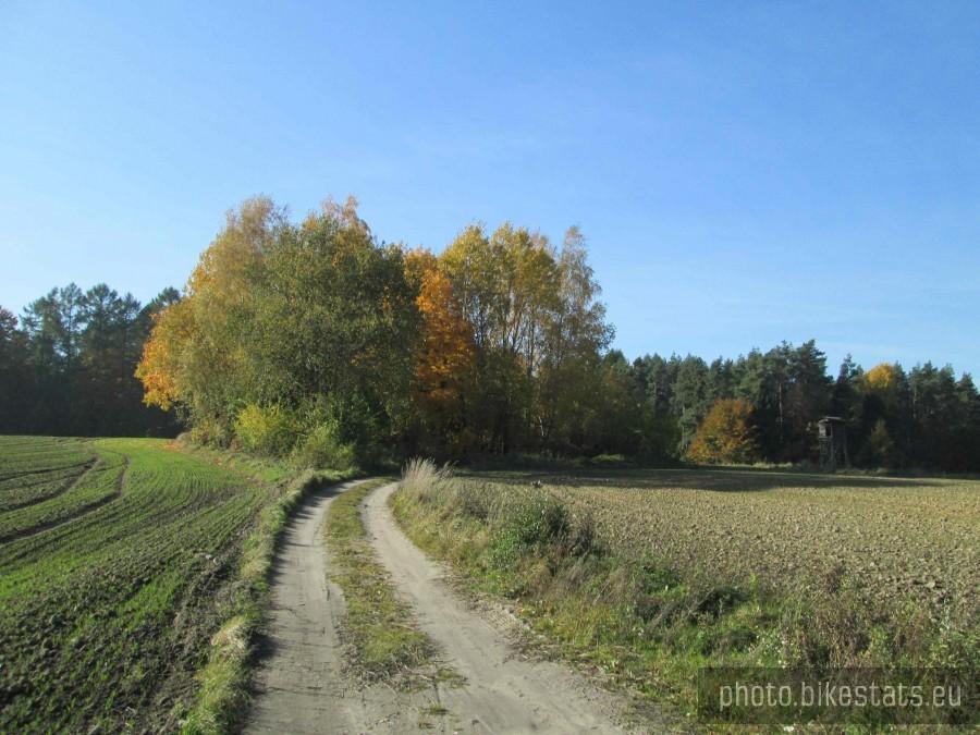 Jadąc w kierunku Ostrzyc