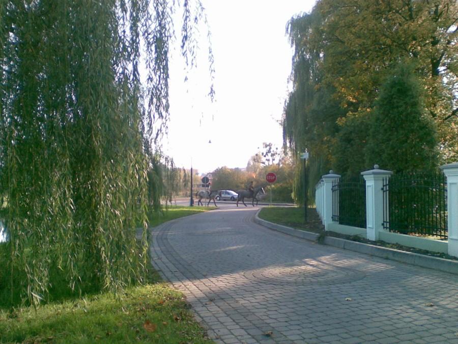 Konnica w Zebrzydowicach :p
