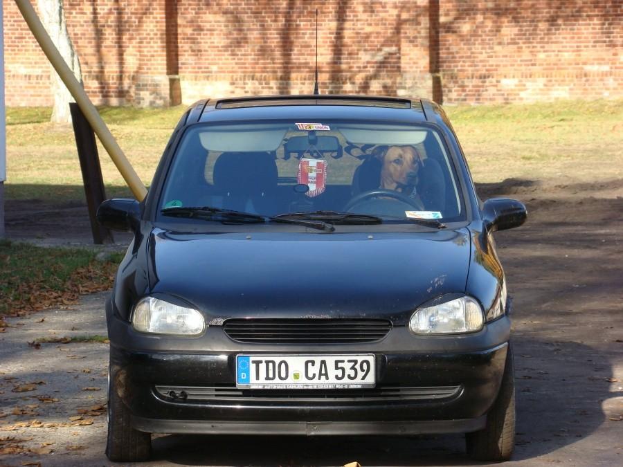 Pól drogi do Altwarp 28