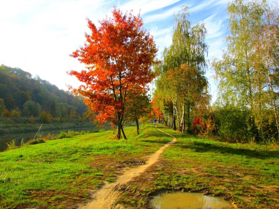 Wał nad rzeką Opavą.
