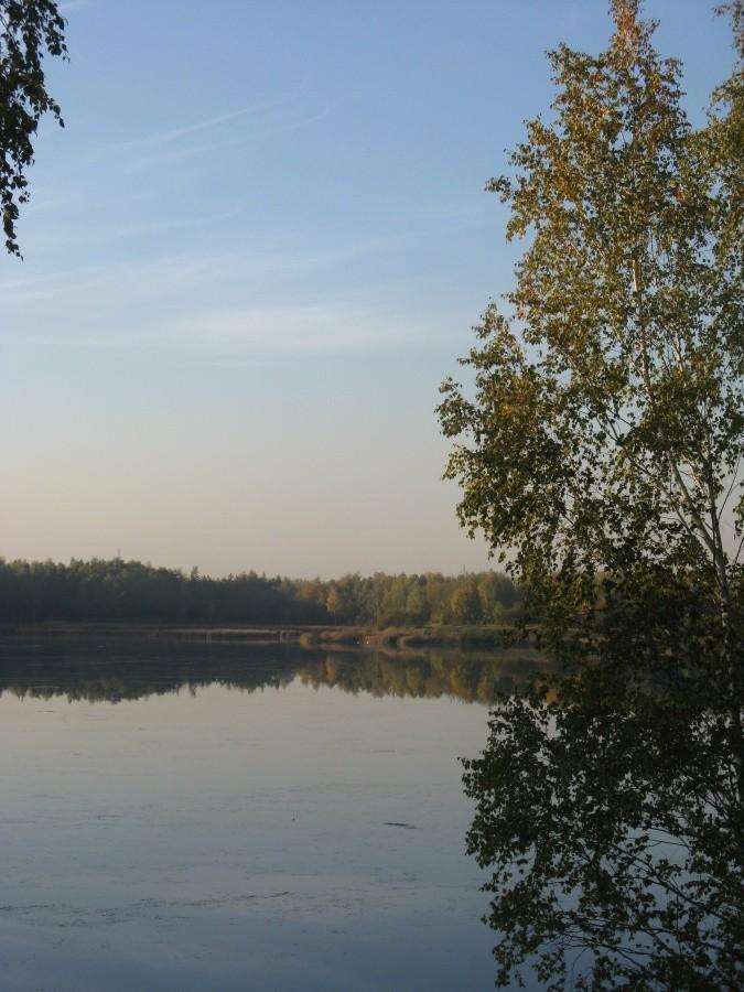 Stawiki jesiennie