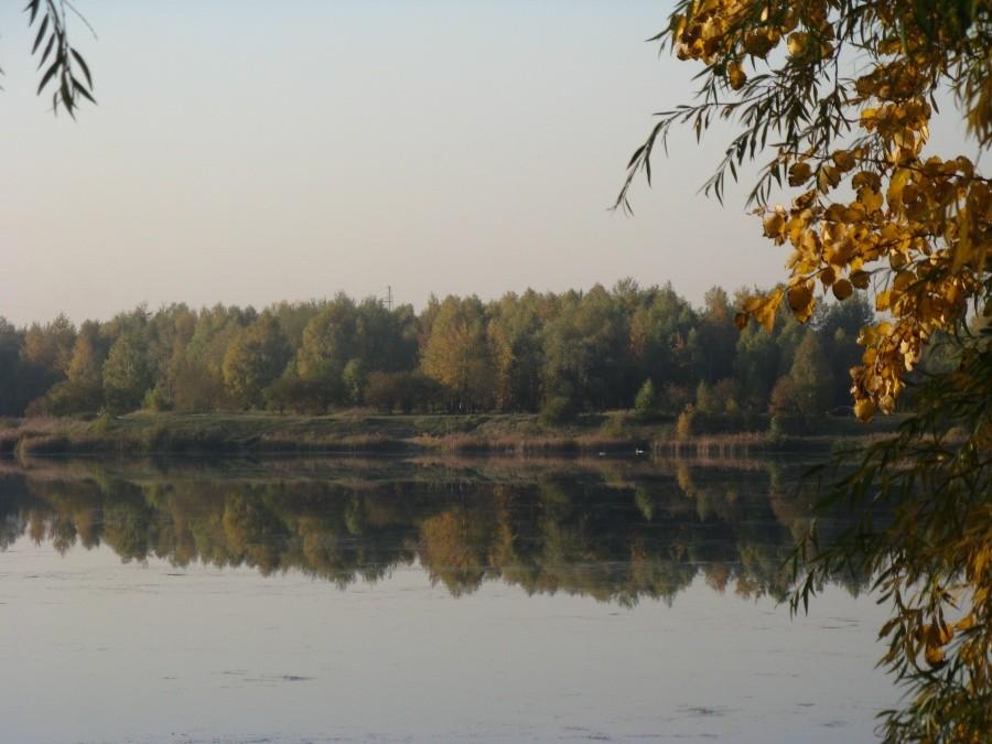 Stawiki w Sosnowcu