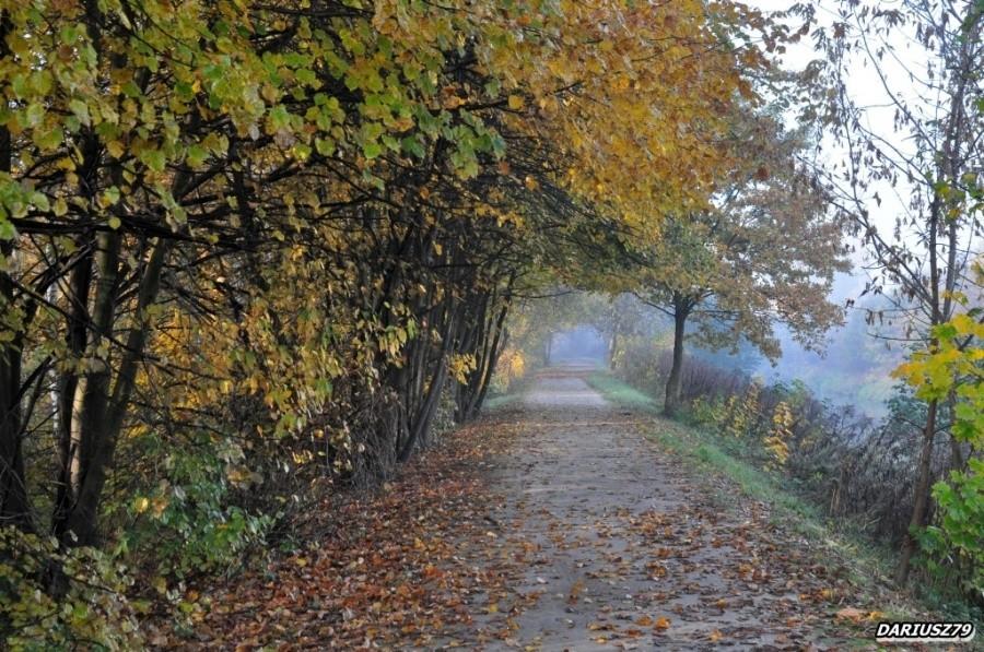 Dąbrowa Górnicza - Droga rowerowa na wale