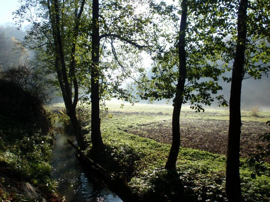 Zamglona dolina