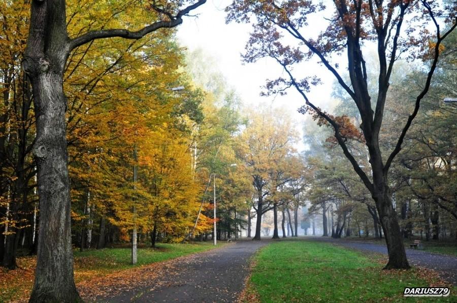 Dąbrowa Górnicza - Park Zielona