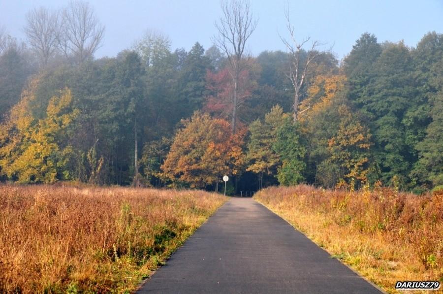 Dąbrowa Górnicza - Park Zielona