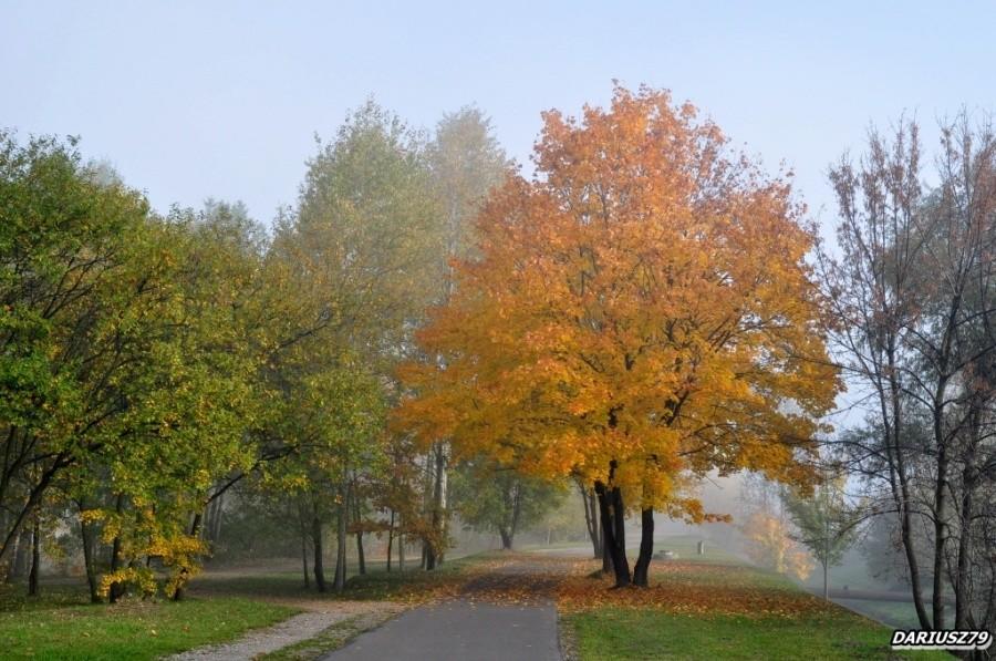 Dąbrowa Górnicza - Pogoria 3