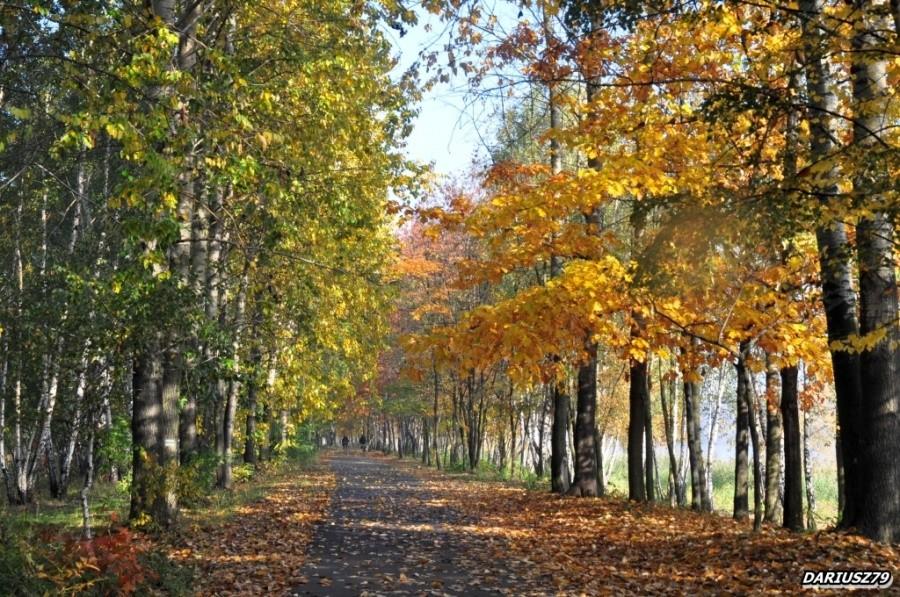 Dąbrowa Górnicza - Pogoria 3