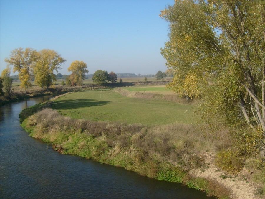 Październikowa Prosna