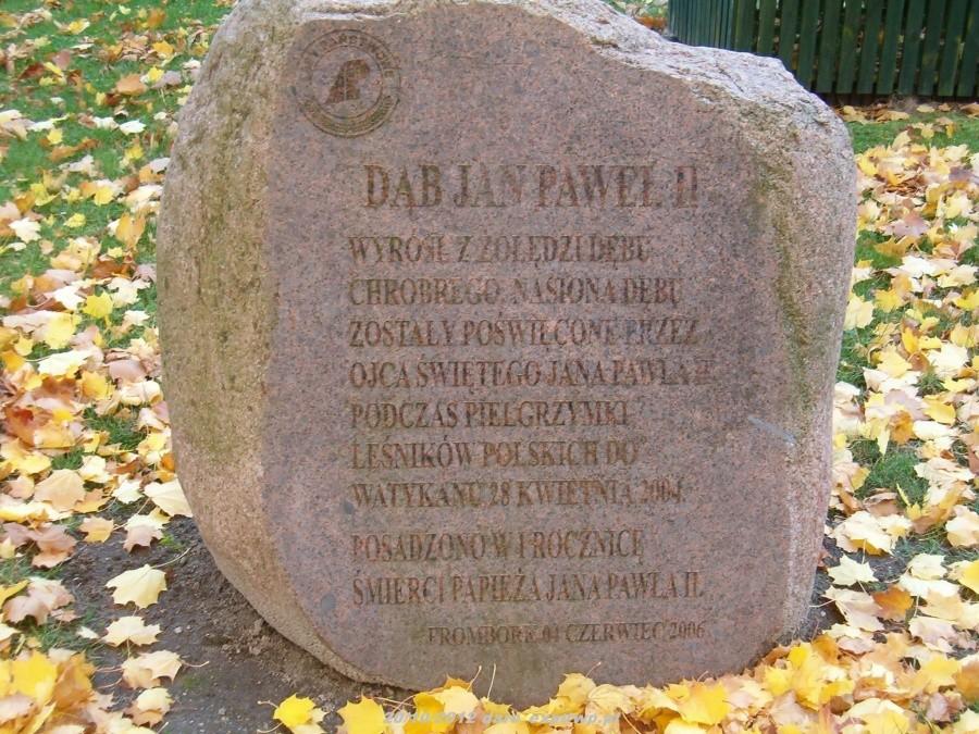 Wycieczka rowerowa. Tczew-Elbląg-Frombork. Kamień pamiątkowy na terenie Katedry we Fromborku.