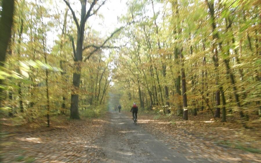 WPN nas kocha bo ... wyszło słońce !