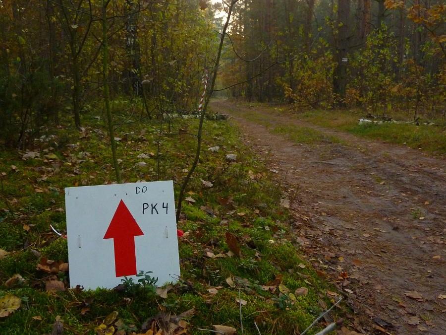 Pozostałości po 1. Maratonie Kampinoskim. Emila Posada