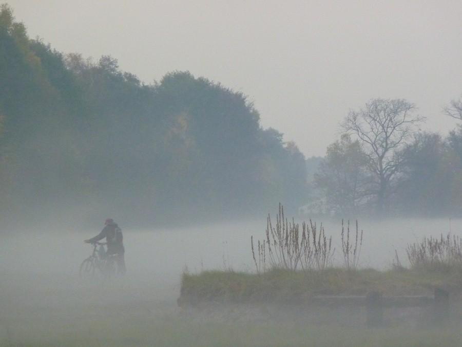Łąki pod Krogulcem