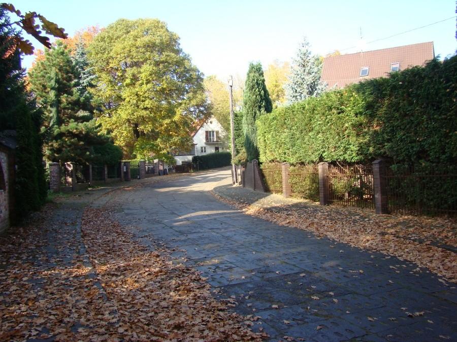 Szczecin, kot, rowery i piękna jesień. 3