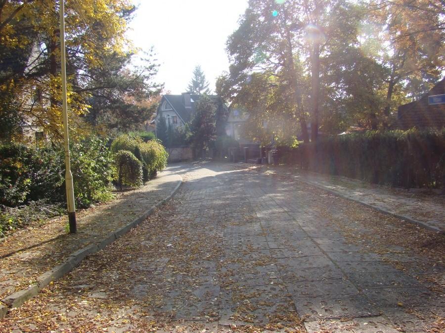 Szczecin, kot, rowery i piękna jesień. 9