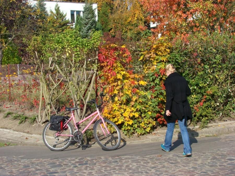 Szczecin, kot, rowery i piękna jesień. 12