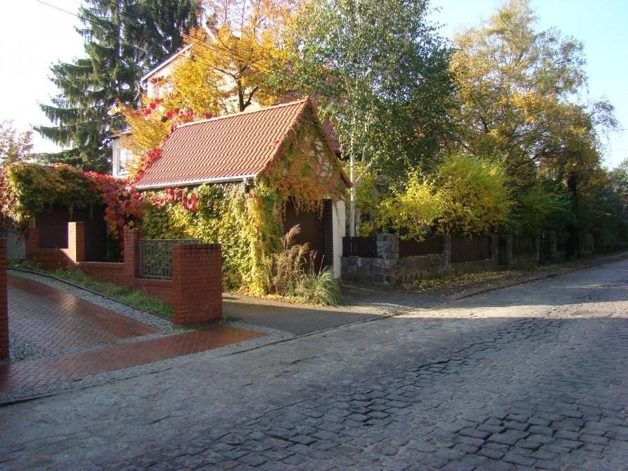 Szczecin, kot, rowery i piękna jesień. 13