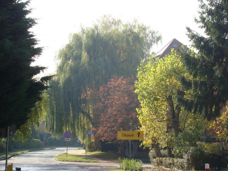 Szczecin, kot, rowery i piękna jesień. 15