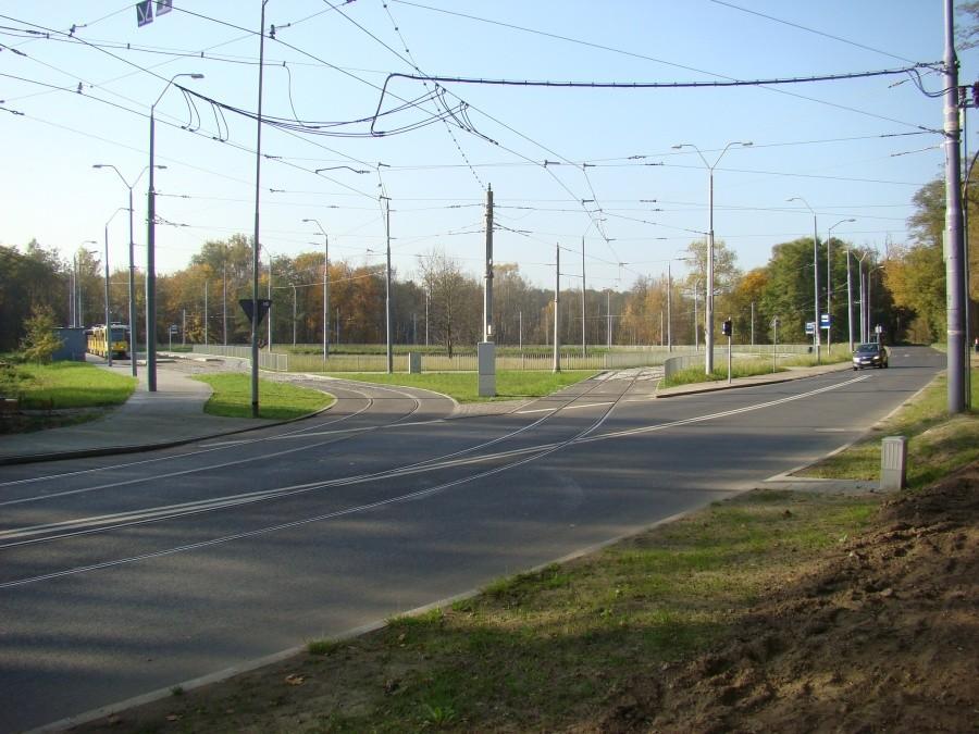 Szczecin, kot, rowery i piękna jesień. 16