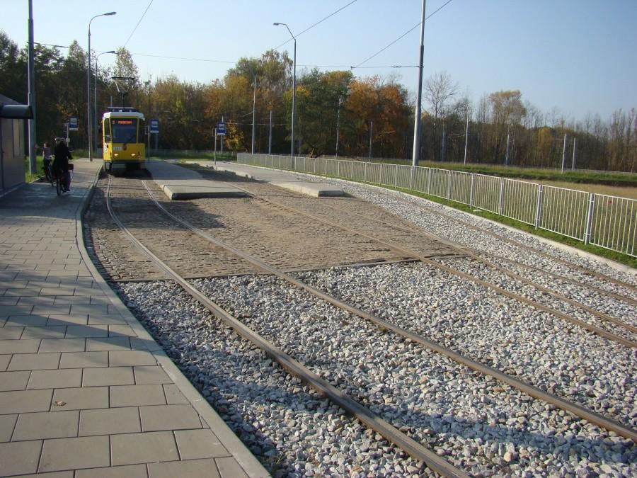 Szczecin, kot, rowery i piękna jesień. 18