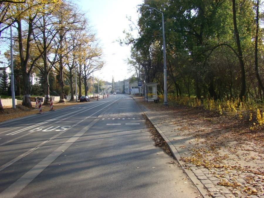 Szczecin, kot, rowery i piękna jesień. 19