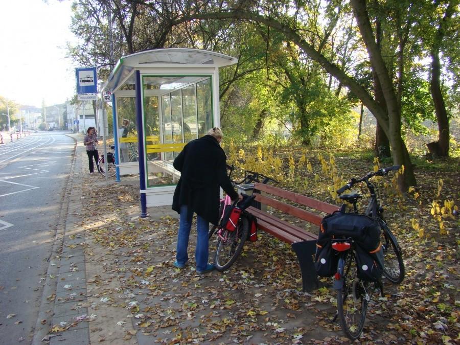 Szczecin, kot, rowery i piękna jesień. 20