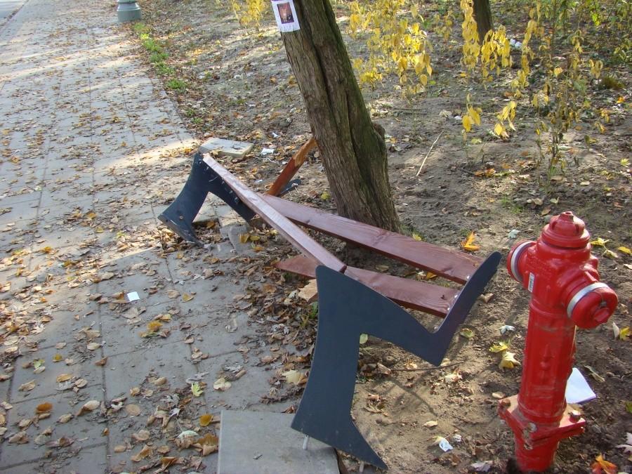 Szczecin, kot, rowery i piękna jesień. 23