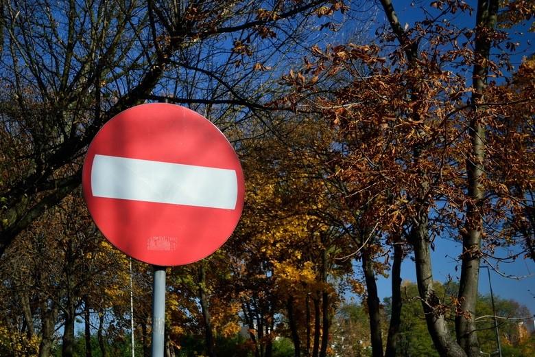 Jesień koło Castoramy