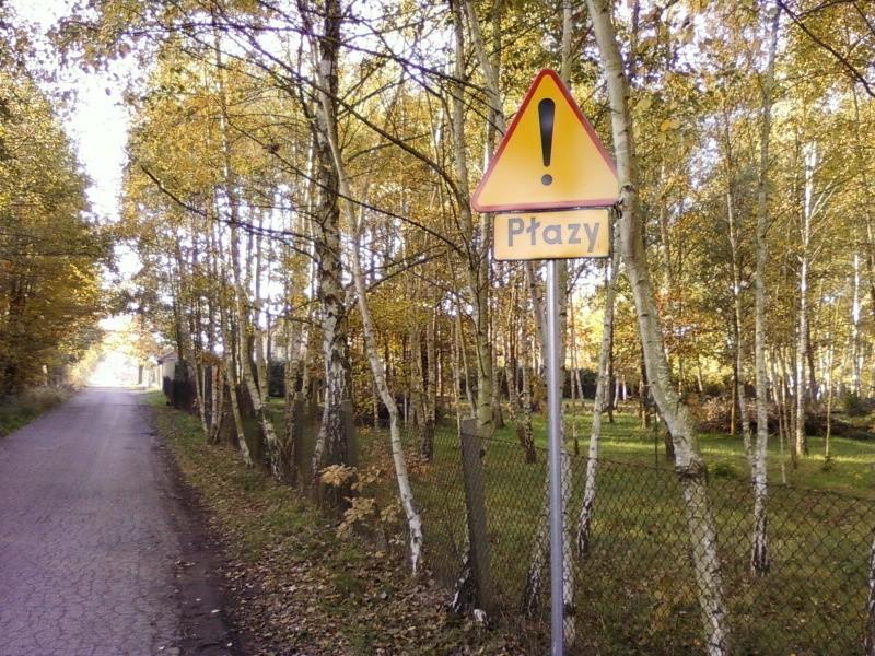 Uwaga płazy