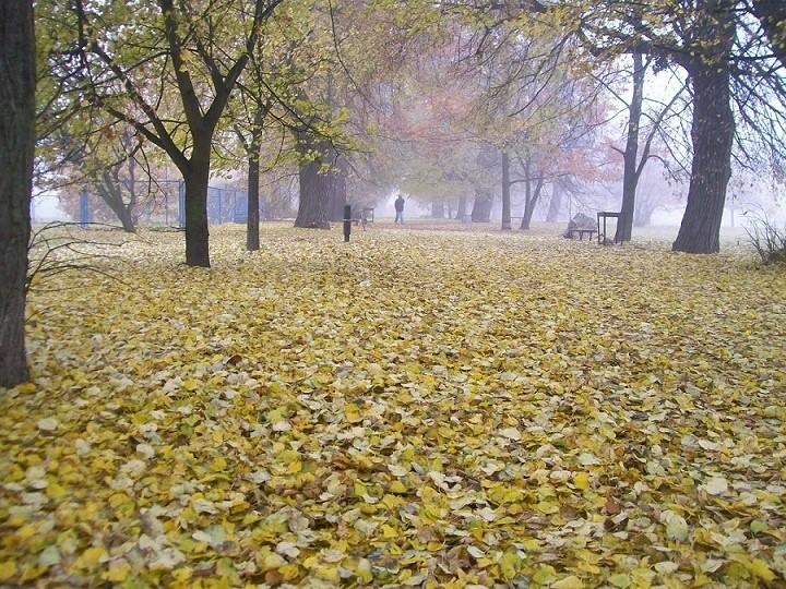 Jesień idzie przez park.