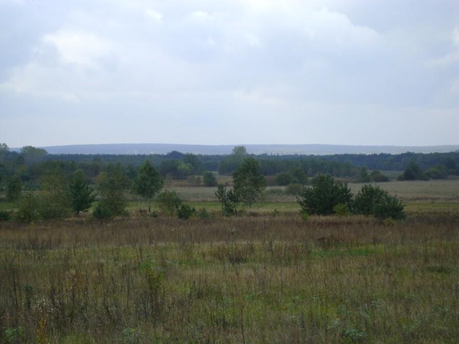 Widok w drodze na Rudę Białaczowską