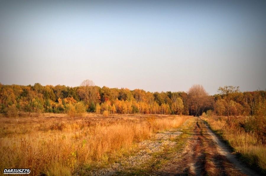 Sosnowiec - Zagórze w strone Kazimierza Górniczego