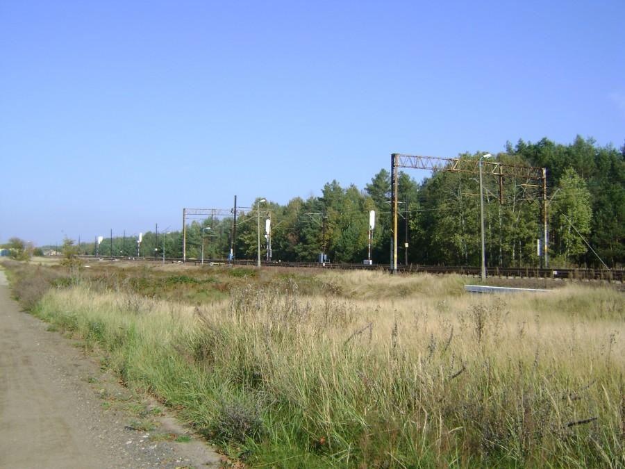Centralna Magistrala Kolejowa na wysokości Olszamowic