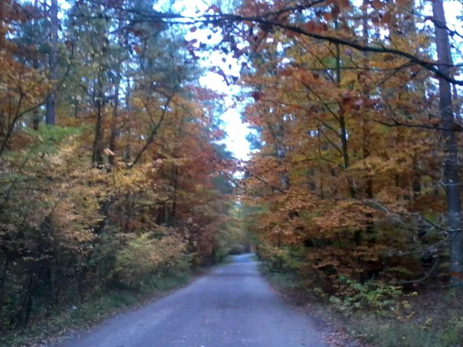 Barwy jesieni w Pieckach