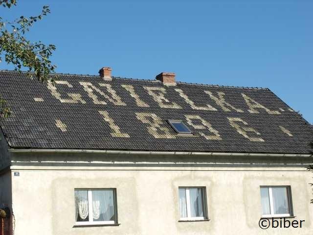 Autopromocja ;)