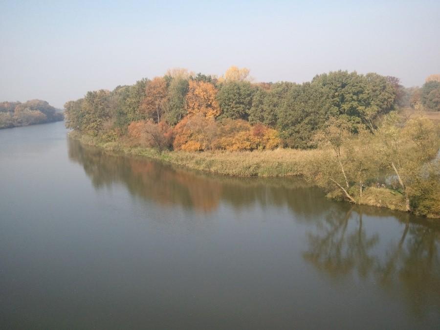 Odra niedaleko Kedziezyna-Kozla