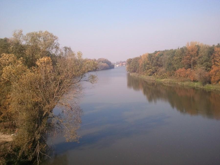 Odra