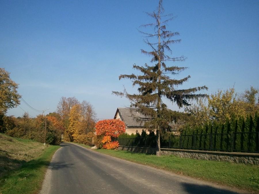 Jesien