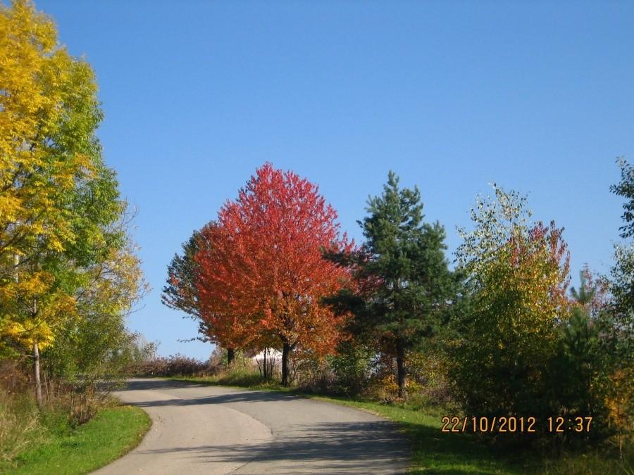 barwy jesieni 4