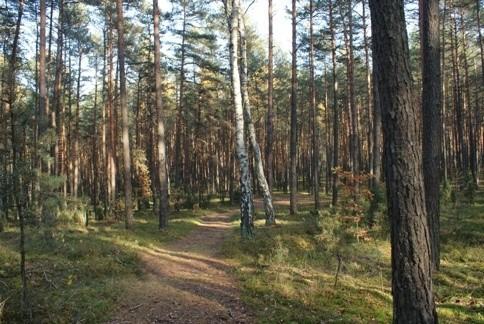 widok ze wzgórza koło kapliczki